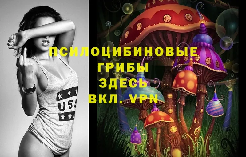 Псилоцибиновые грибы Cubensis  Лянтор 